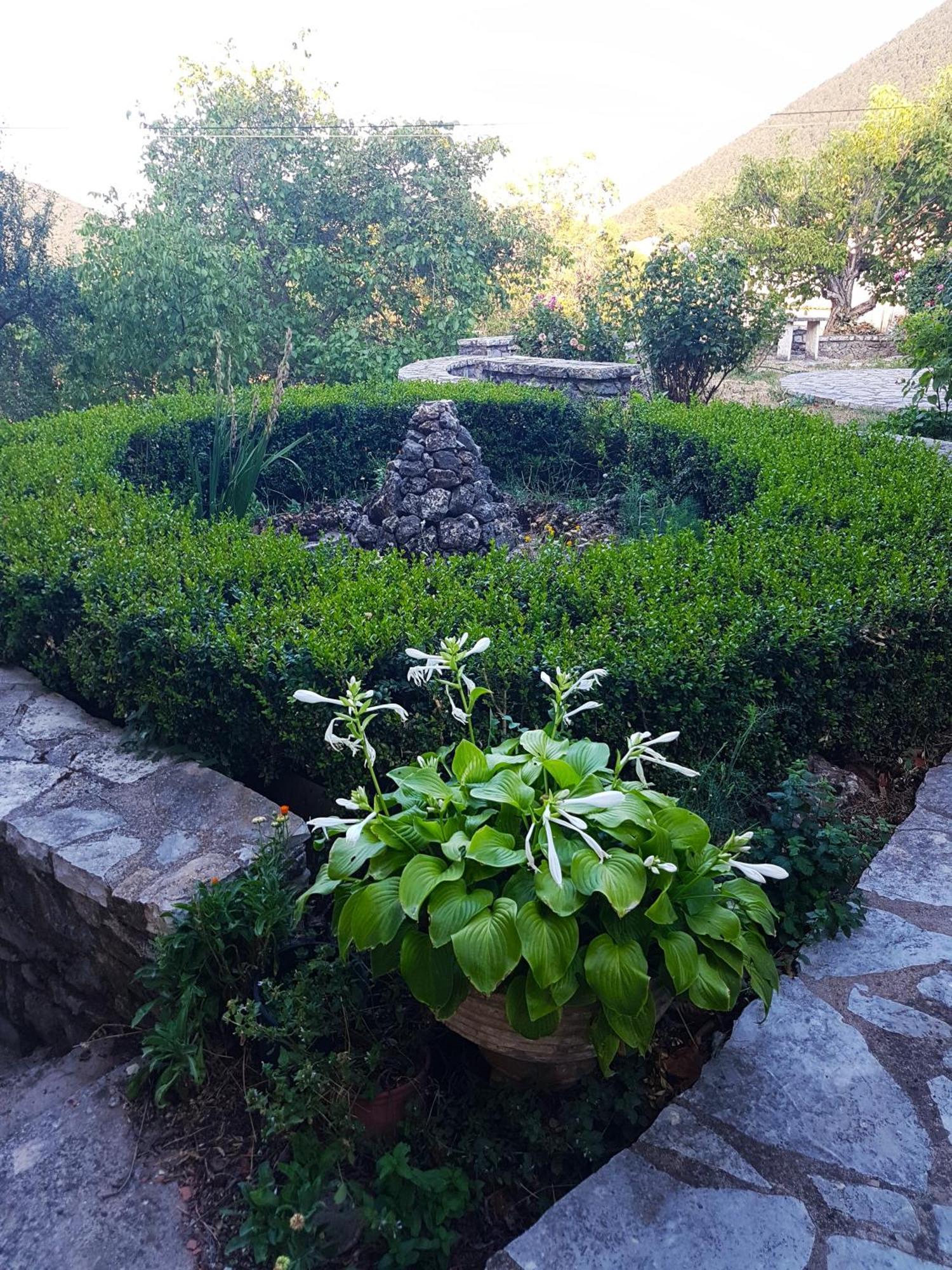 شقة Το Αλώνι Vlacherna المظهر الخارجي الصورة
